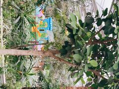 -南宫五洲植物乐园