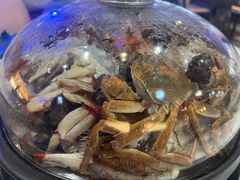 -半岛听涛蒸汽海鲜自助(K11店)