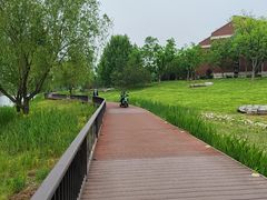 -西海子公园