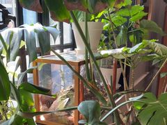 -一尺花园(安和花园店)