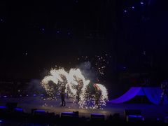 -广州长隆国际大马戏