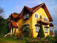 -黄色小屋