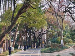 -采石矶景区
