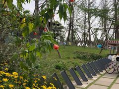 -白鹭湾湿地公园