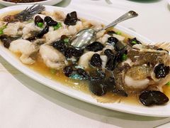 笋壳鱼-蝶园·装修中(BFC外滩金融中心店)