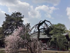 -北陵公园