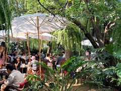 -Fern Forest Cafe
