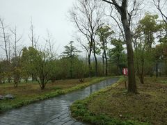 -东园小馆·早茶·淮扬小炒(宋夹城店)