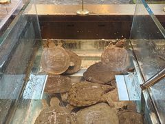 -黑金·寻焰自助百汇·烤肉·火锅(中街店)