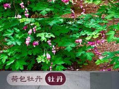 -仁和公园(顺义区)