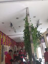 -卡尔诗·科技美肤连锁