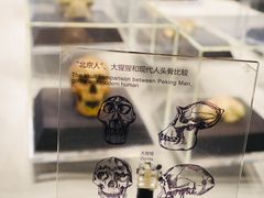 -北京周口店北京人遗址博物馆