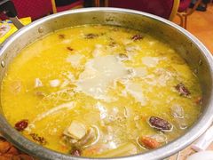 -广宁炭炉鸡煲·富临门饭店