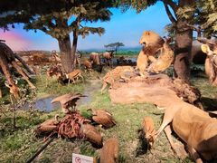 -国家自然博物馆