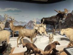 -陕西自然博物馆