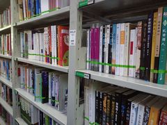 -天津图书馆(复康路馆)