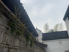 -南京市民俗博物馆(甘熙宅第)