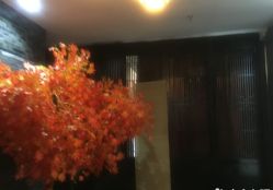 -盘子女人坊古装写真摄影(厦门总店)