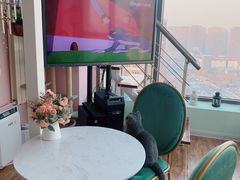 -这儿没有猫·猫咖萌宠馆·撸猫