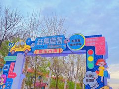 -莱阳濯村樱花园