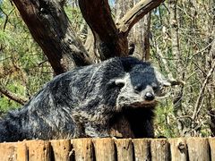 -云南野生动物园