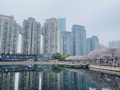 -西北湖绿化广场