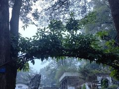 -南山植物园