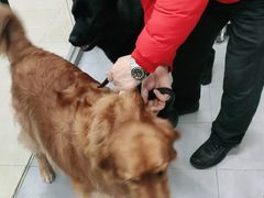 -宠福鑫康馨动物医院·骨科·眼科