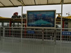 -海河游船-永乐码头(大悲院)