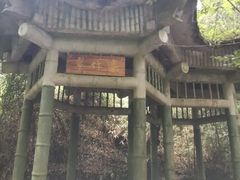 -云南屏边大围山国家公园
