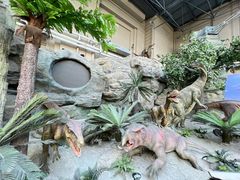 -国家自然博物馆