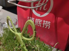 -海底捞火锅(崇文门新世界百货店)