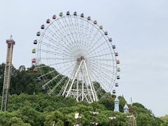 -温州乐园