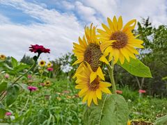 -桤木河湿地公园