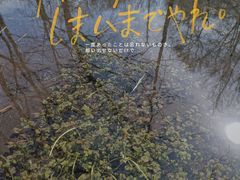 景点-玉渡山自然风景区