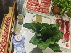 -丁卯•铜锅涮肉(工体店)