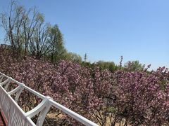 -映像威海·威海宴(威高广场店)