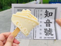 -武汉知音号