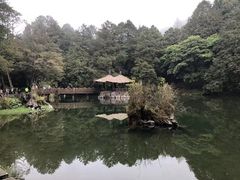 -阿里山神木遗迹