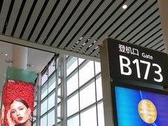 -广州白云国际机场-T2航站楼