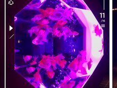 景点&nbsp;新江户金鱼饰-上海环球金融中心云端足球盛典