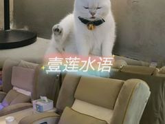-御水泉·国际水疗会(广州长隆店)