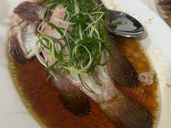 -老字号蛇口德记烧腊饭店·海鲜加工