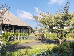 -巴厘岛乌鲁瓦图安纳塔拉度假酒店