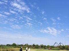 -春花秋色城市公园