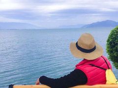 -洱海月湿地公园