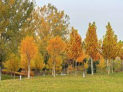 -瀛海足球主题公园