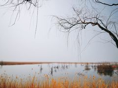 -野鸭湖国家湿地公园