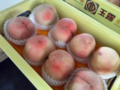 -南汇水蜜桃采摘(大团店)