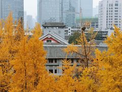 -四川大学(华西校区)